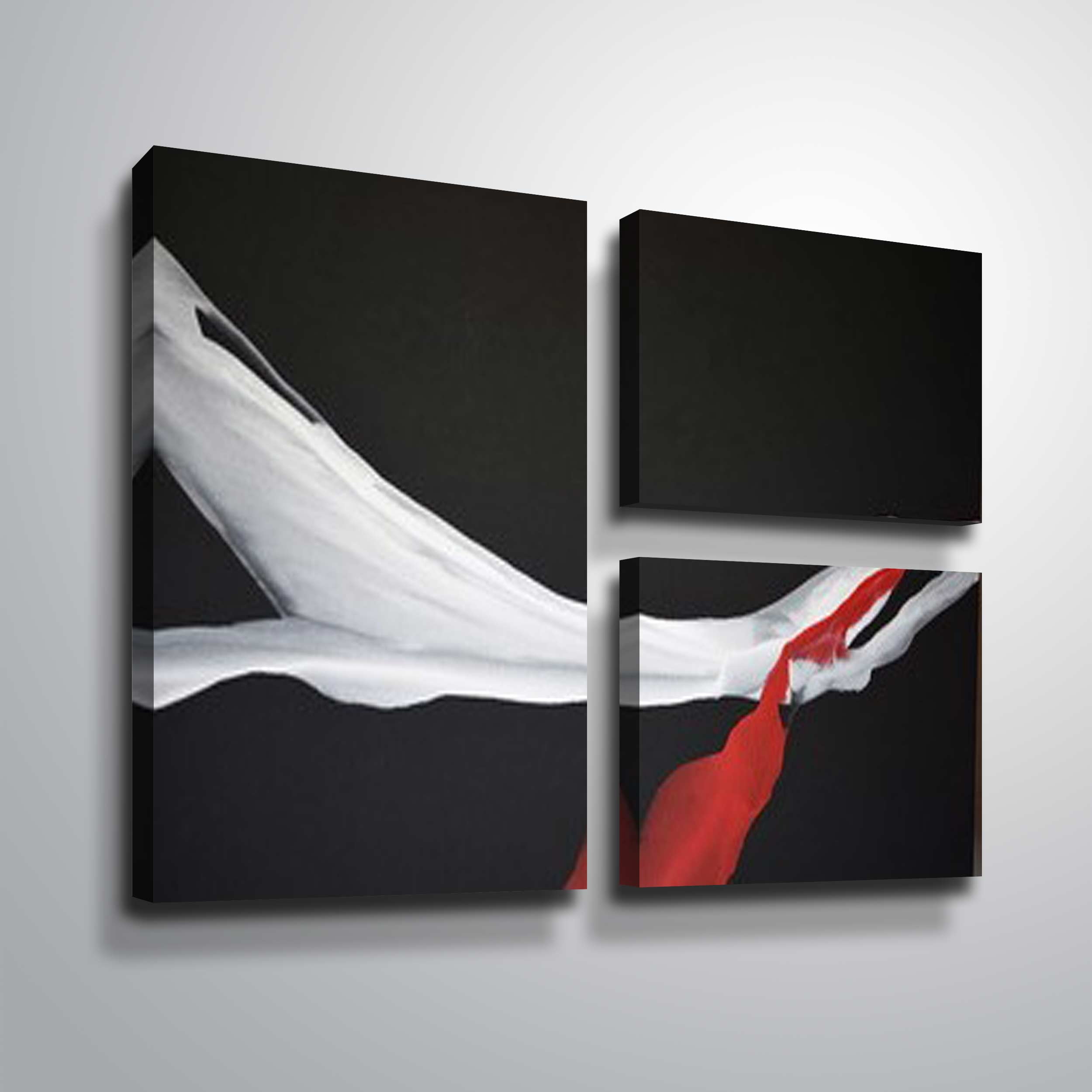 Artwall Swan Wing, 3 Piece Gallery Wrapped Canvas Flag Set by Patricia Coulter