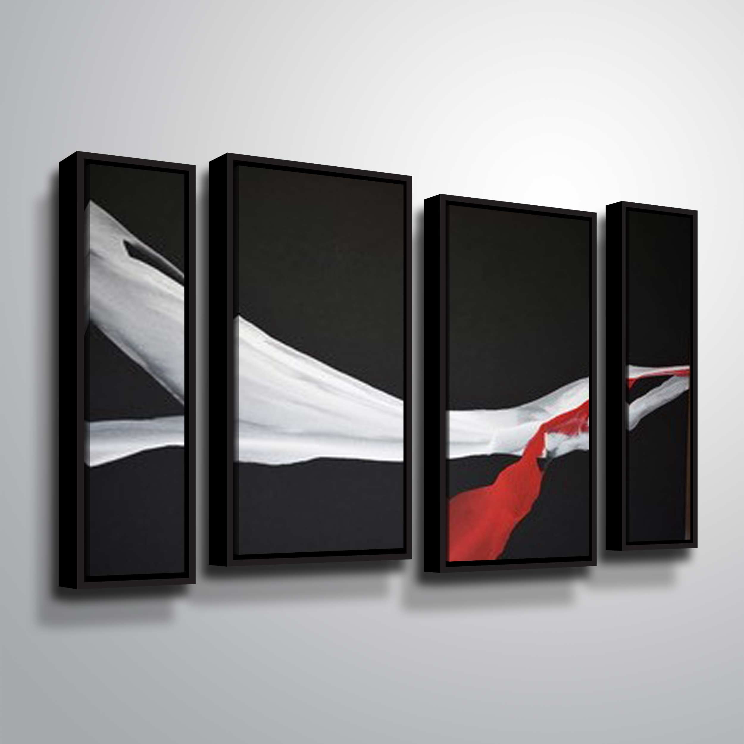 Artwall Swan Wing, 4 Piece Floater Framed Canvas Staggered Set by Patricia Coulter