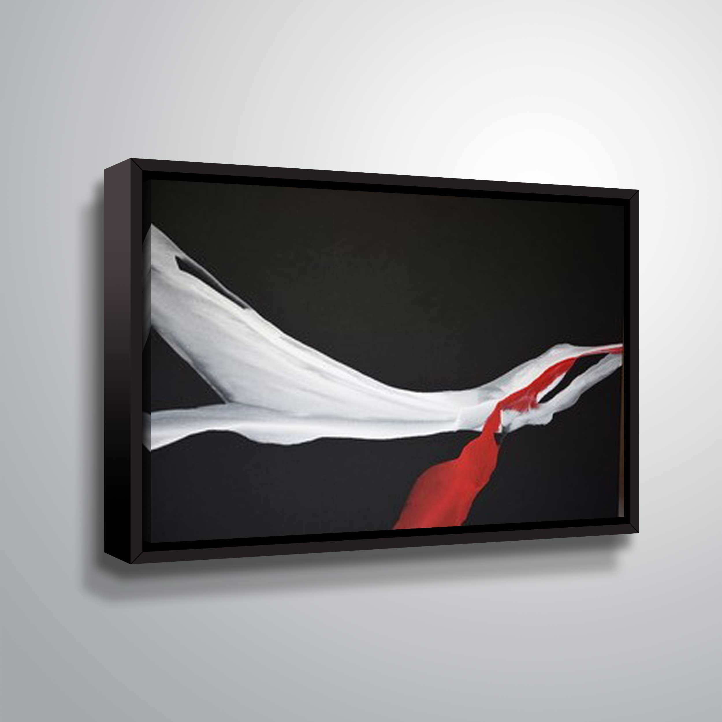 Artwall Swan Wing, Gallery Wrapped Floater-framed Canvas by Patricia Coulter