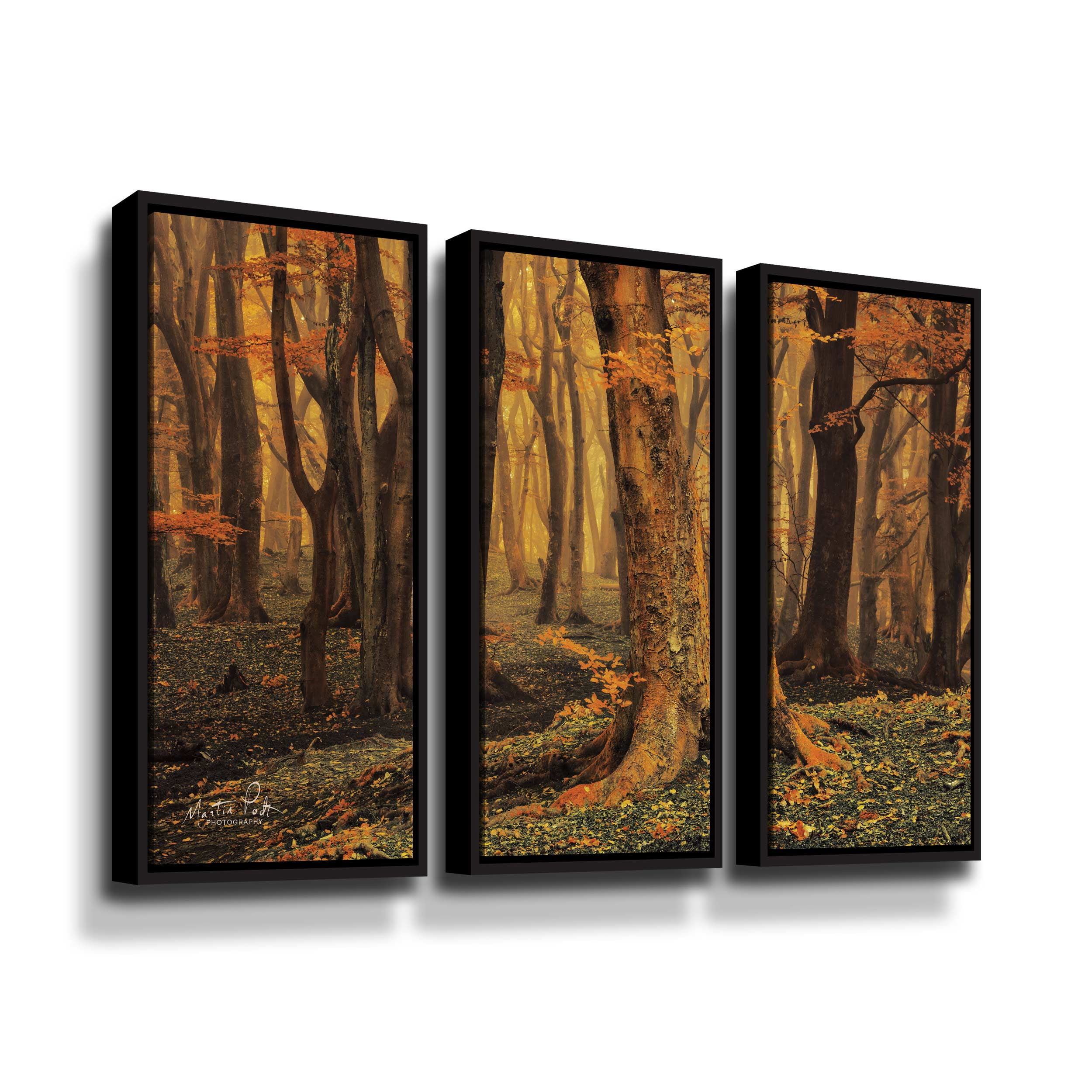 Artwall Sweet Dreams, 3 Piece Floater Framed Canvas Set by Martin Podt