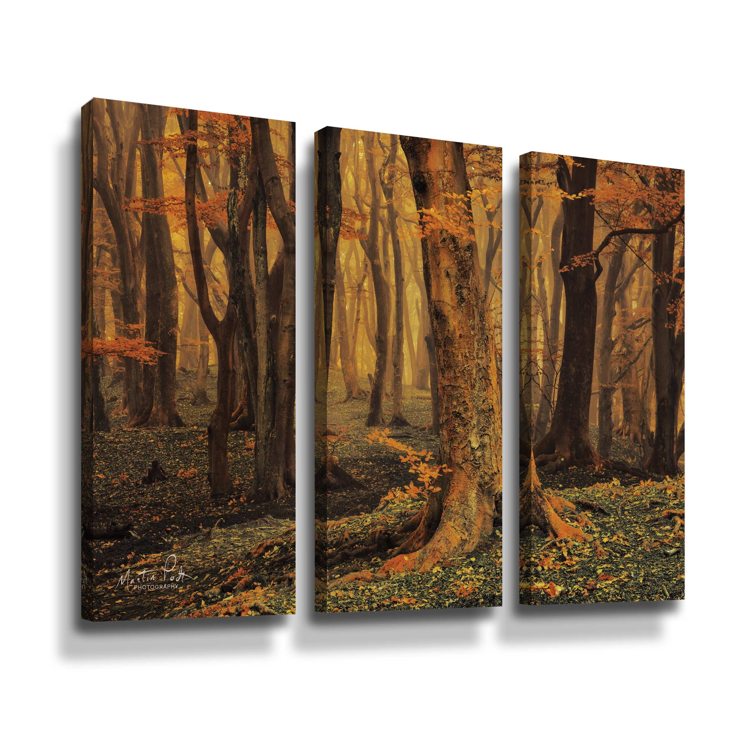 Artwall Sweet Dreams, 3 Piece Gallery Wrapped Canvas Set by Martin Podt