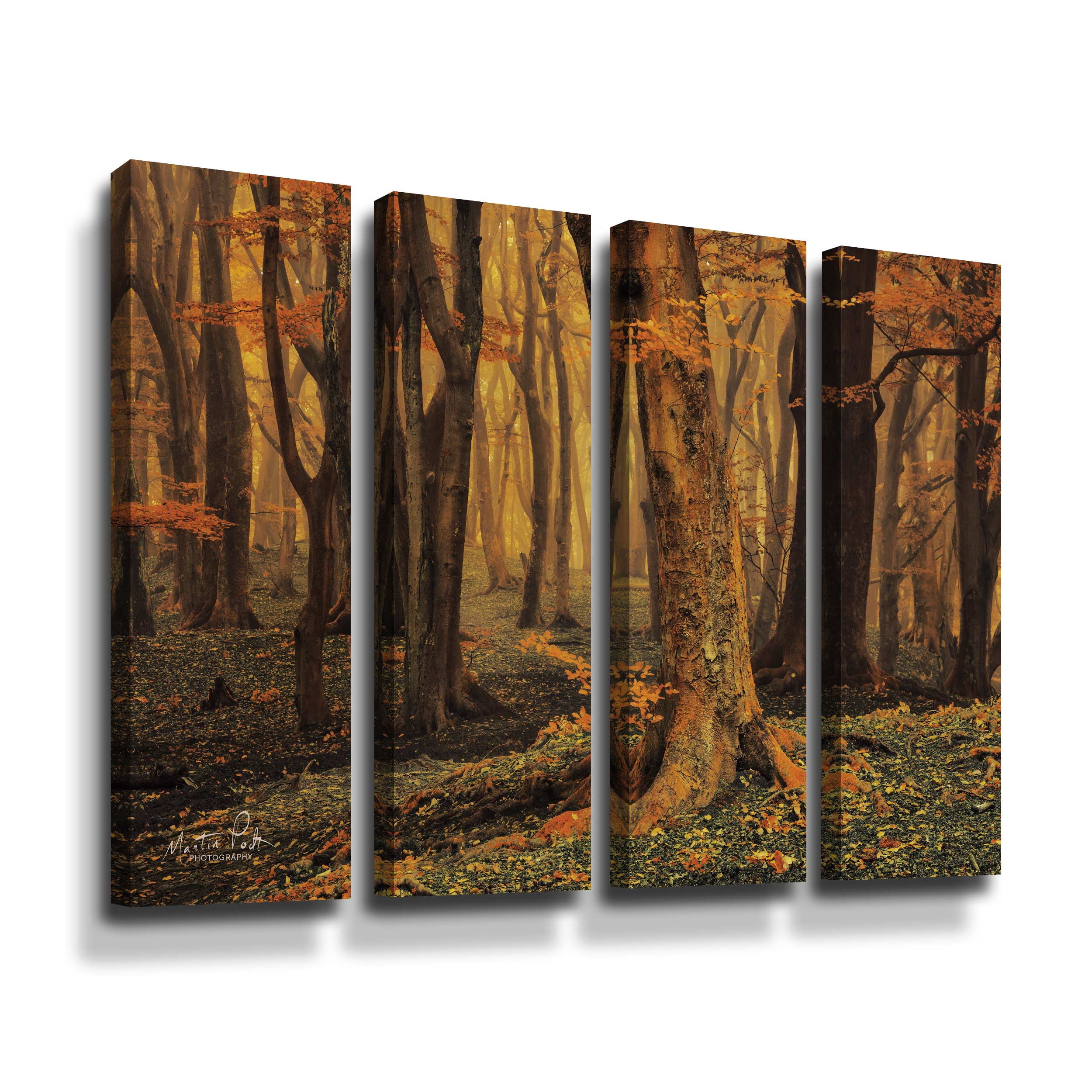 Artwall Sweet Dreams, 4 Piece Gallery Wrapped Canvas Set by Martin Podt