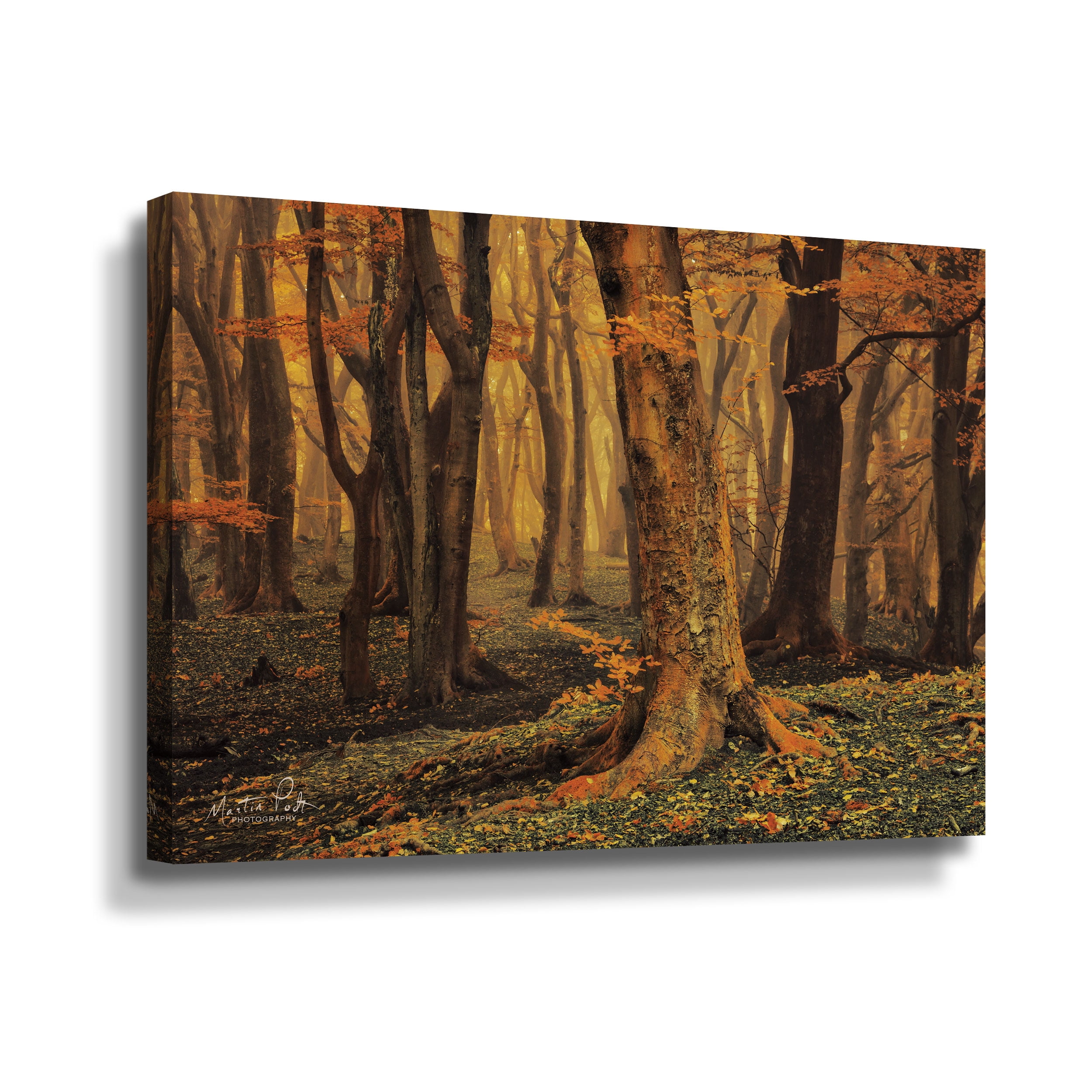 Artwall Sweet Dreams, Gallery Wrapped Canvas by Martin Podt