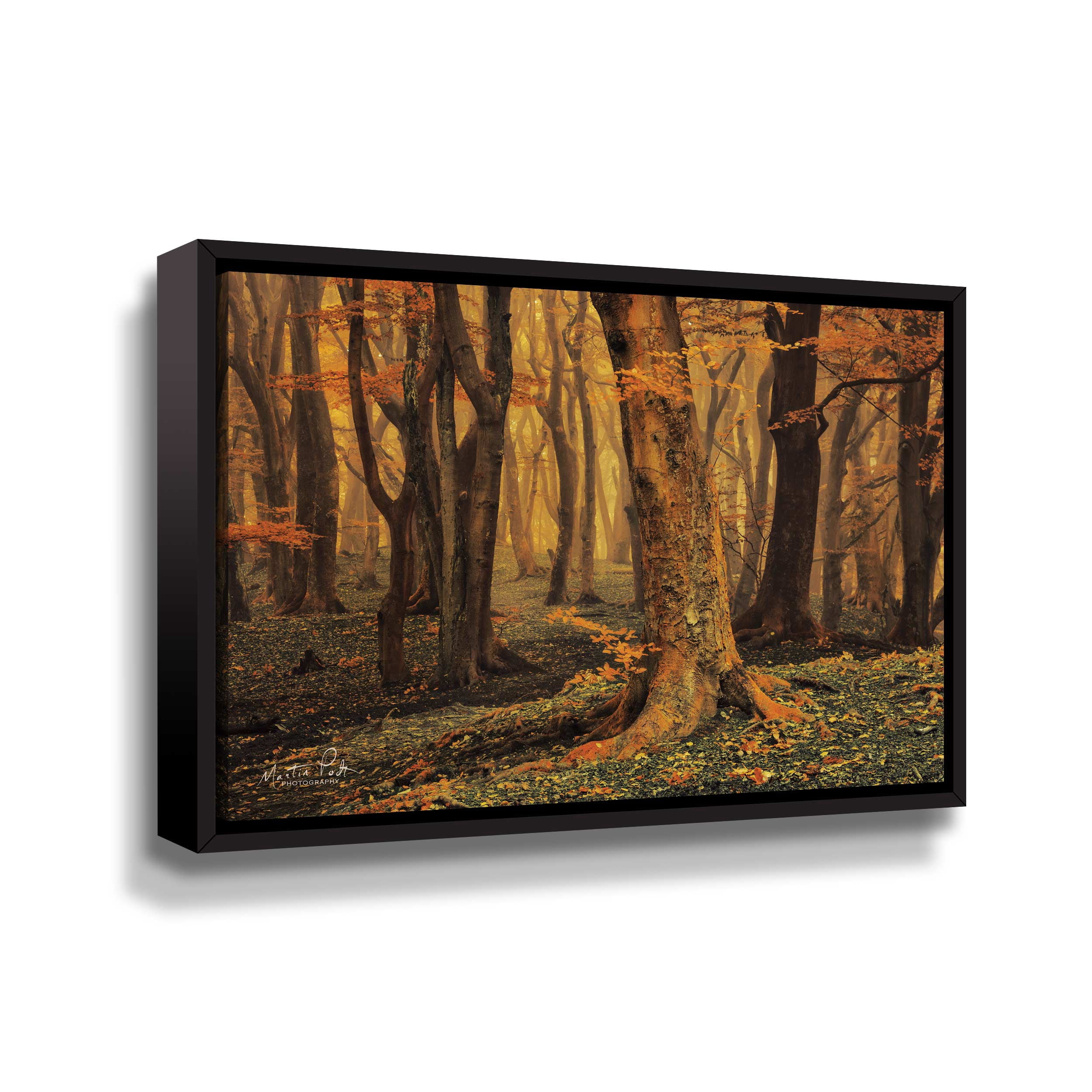 Artwall Sweet Dreams, Gallery Wrapped Floater-framed Canvas by Martin Podt