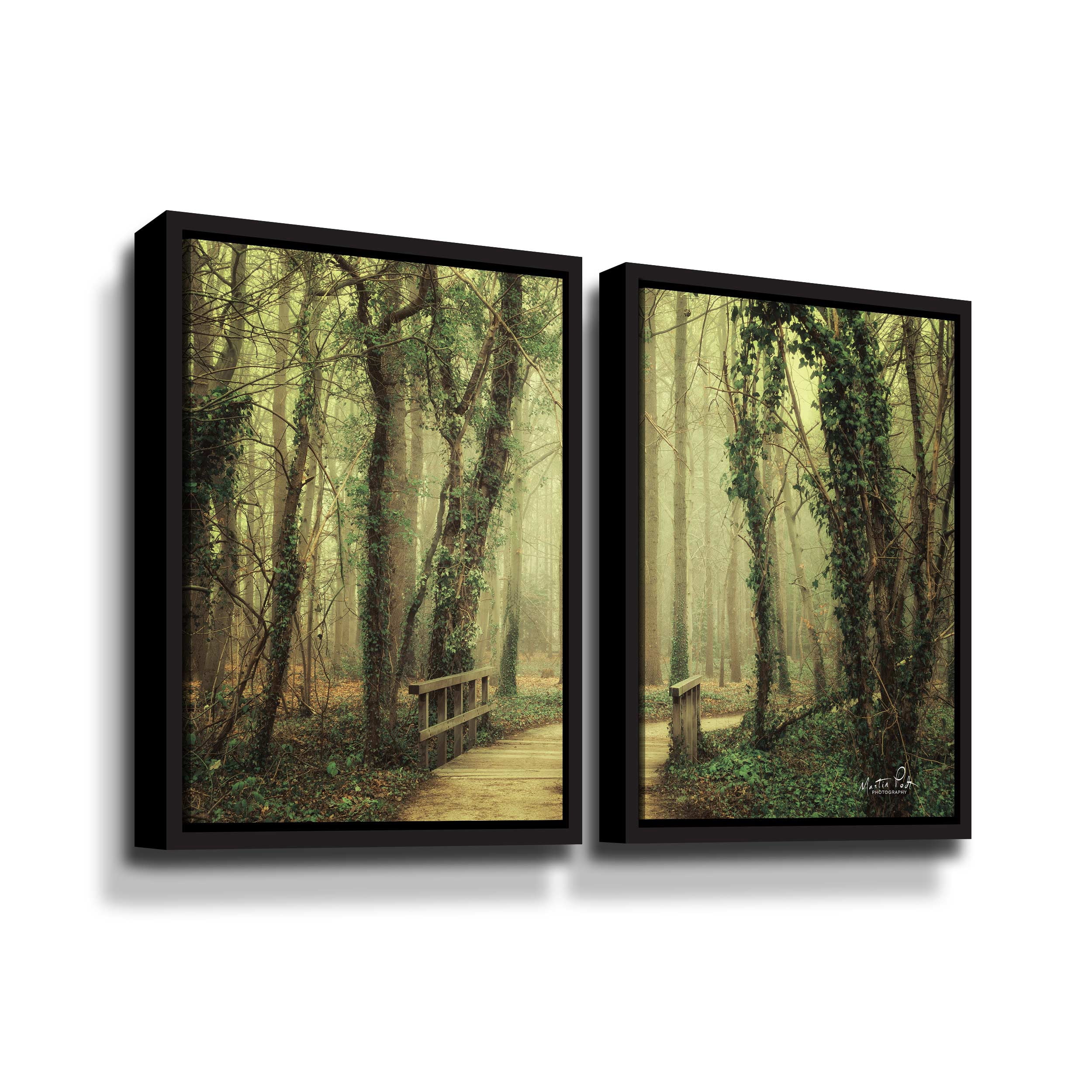 Artwall The Bridge, 2 Piece Floater Framed Canvas Set by Martin Podt