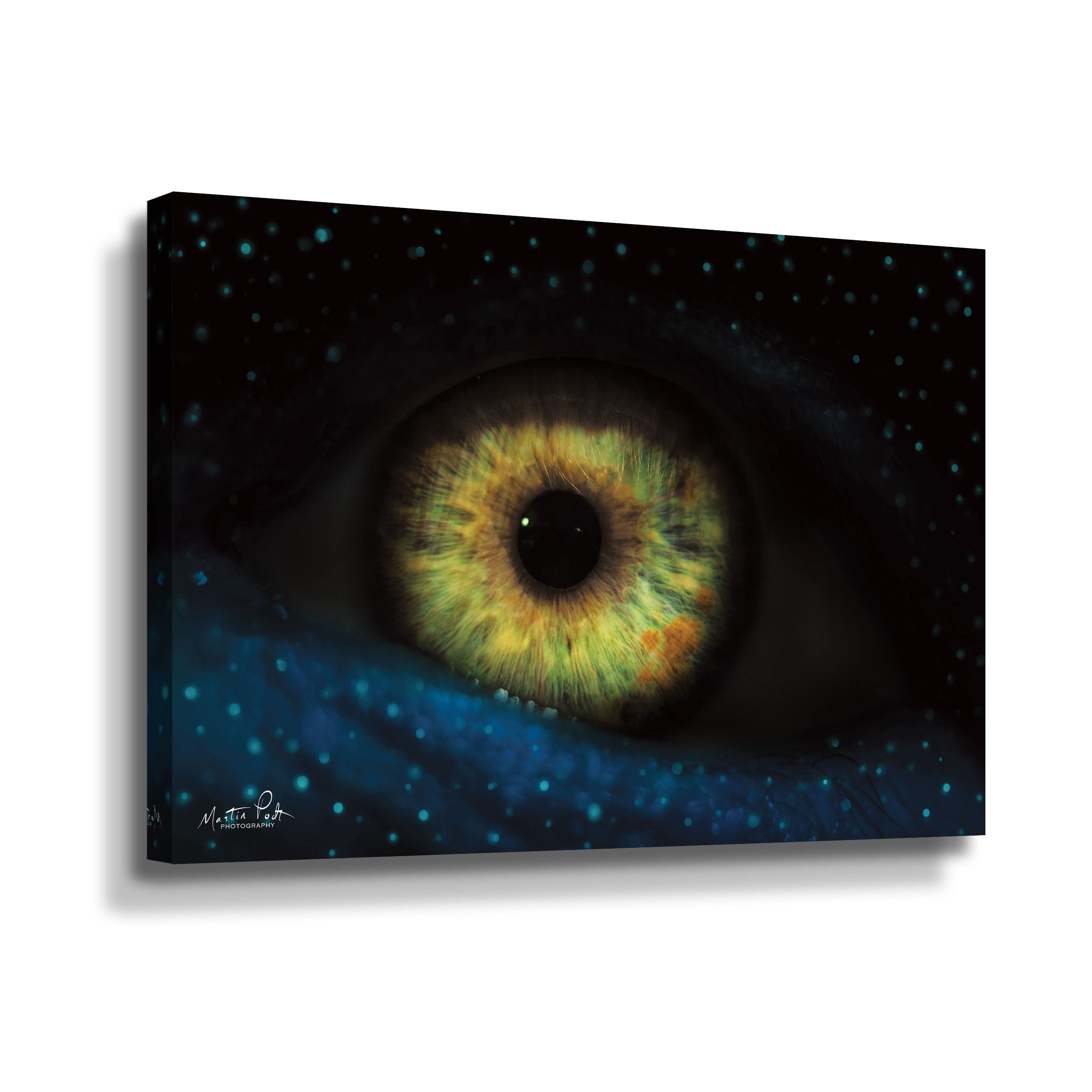Artwall The Eye, Gallery Wrapped Canvas by Martin Podt