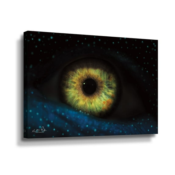 Artwall The Eye, Gallery Wrapped Canvas by Martin Podt