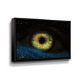 thumbnail image 1 of Artwall The Eye, Gallery Wrapped Floater-framed Canvas by Martin Podt, 1 of 3