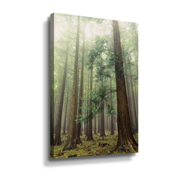 Artwall The Friendly Giants, Gallery Wrapped Canvas by Martin Podt