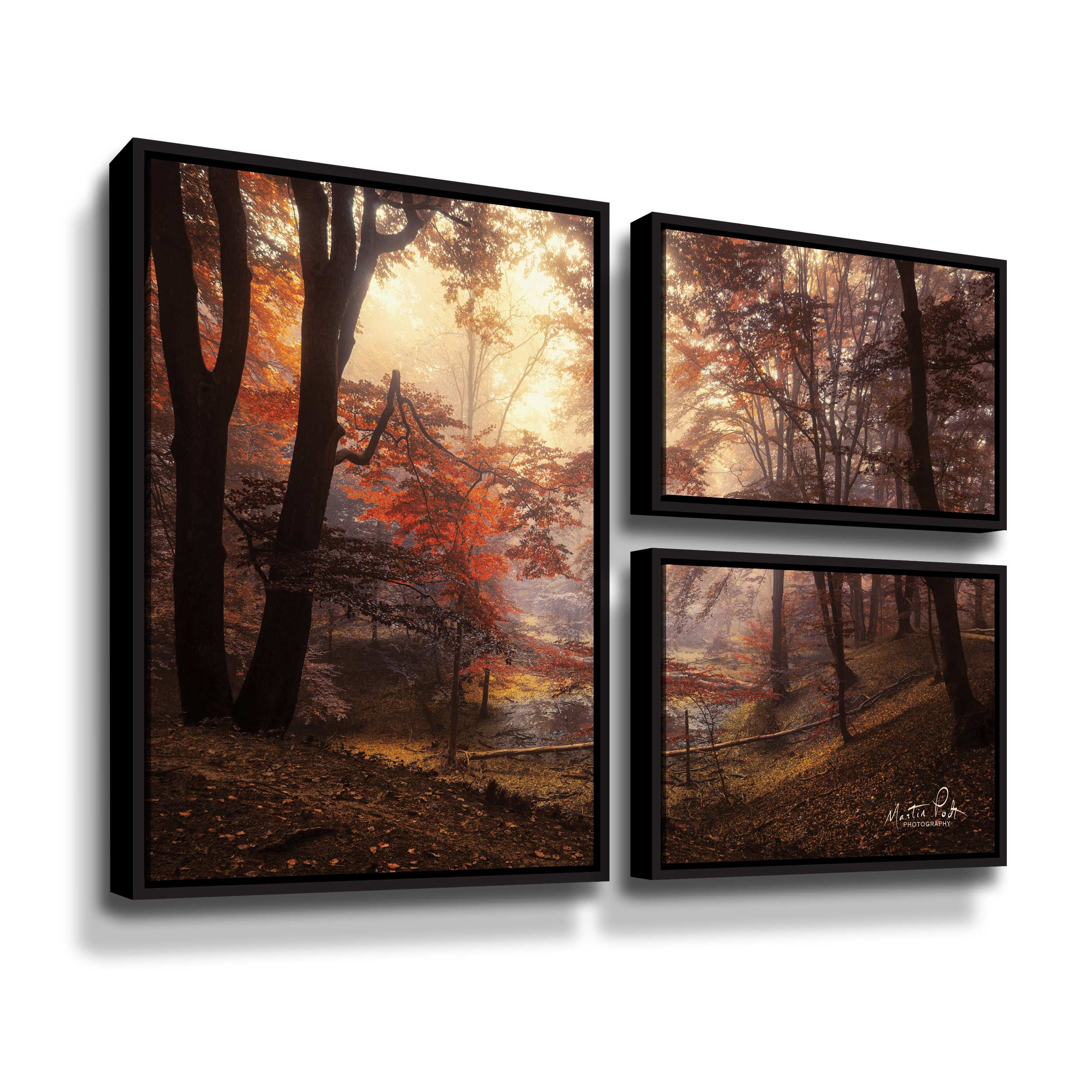 Artwall The Pool, 3 Piece Floater Framed Canvas Flag Set by Martin Podt