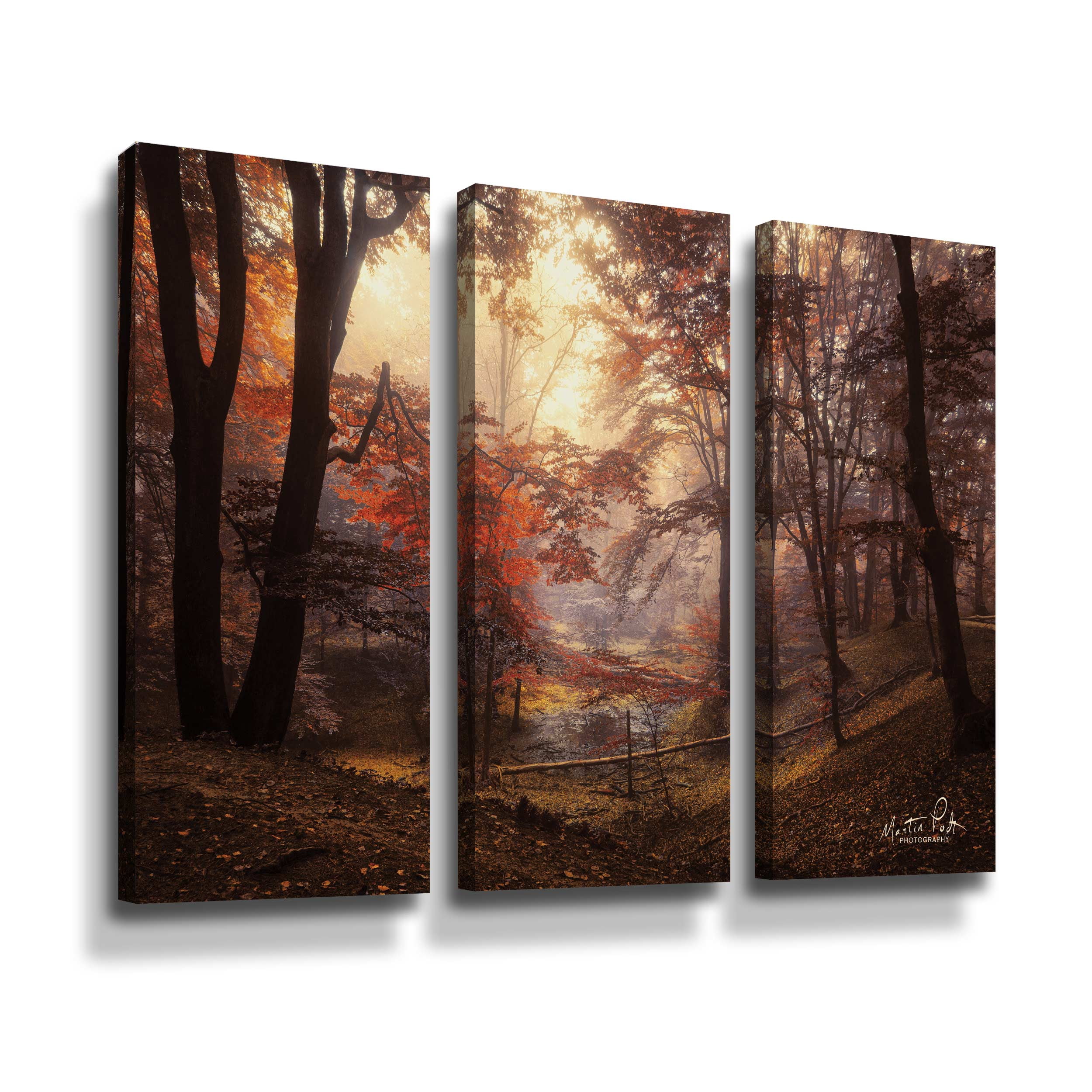 Artwall The Pool, 3 Piece Gallery Wrapped Canvas Set by Martin Podt