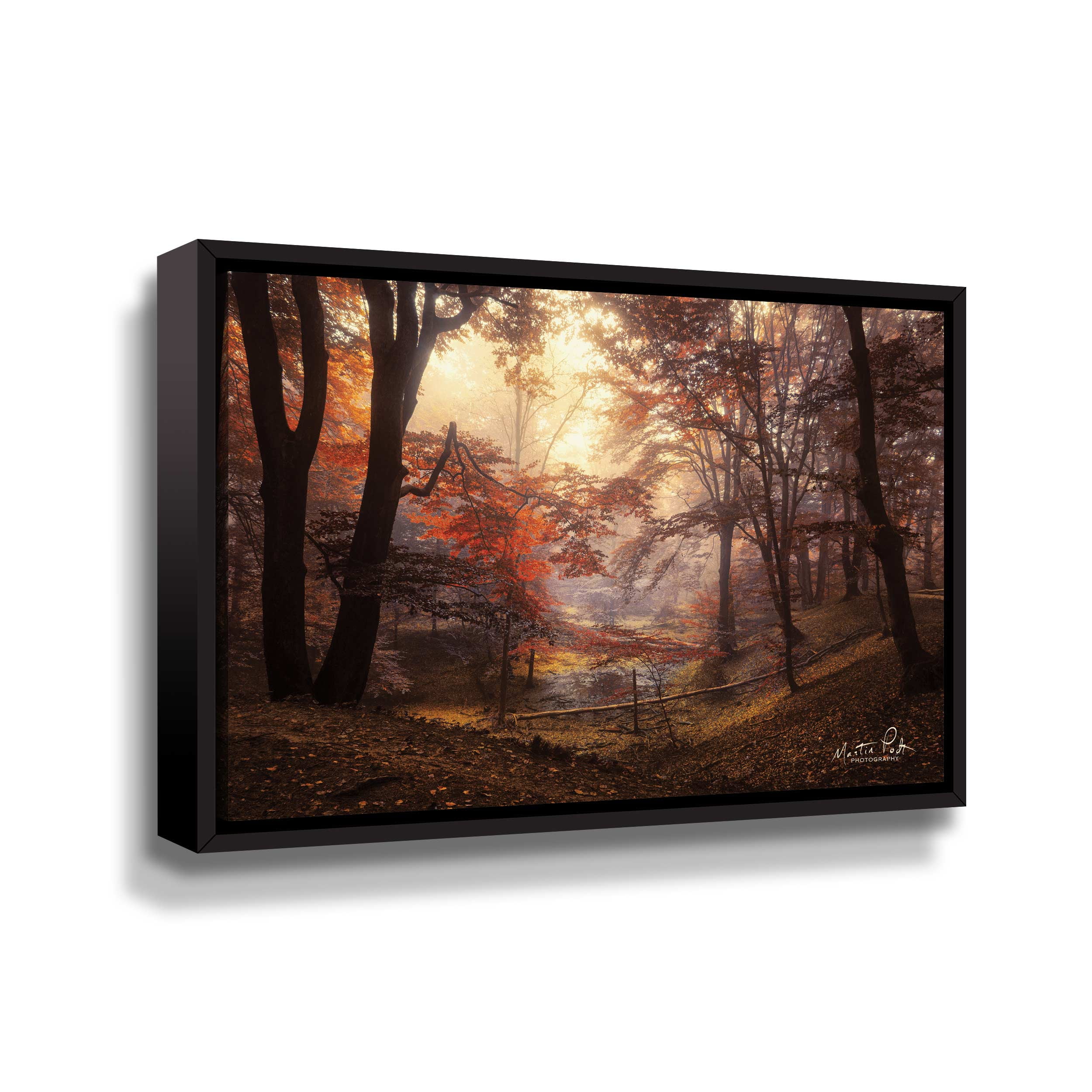 Artwall The Pool, Gallery Wrapped Floater-framed Canvas by Martin Podt