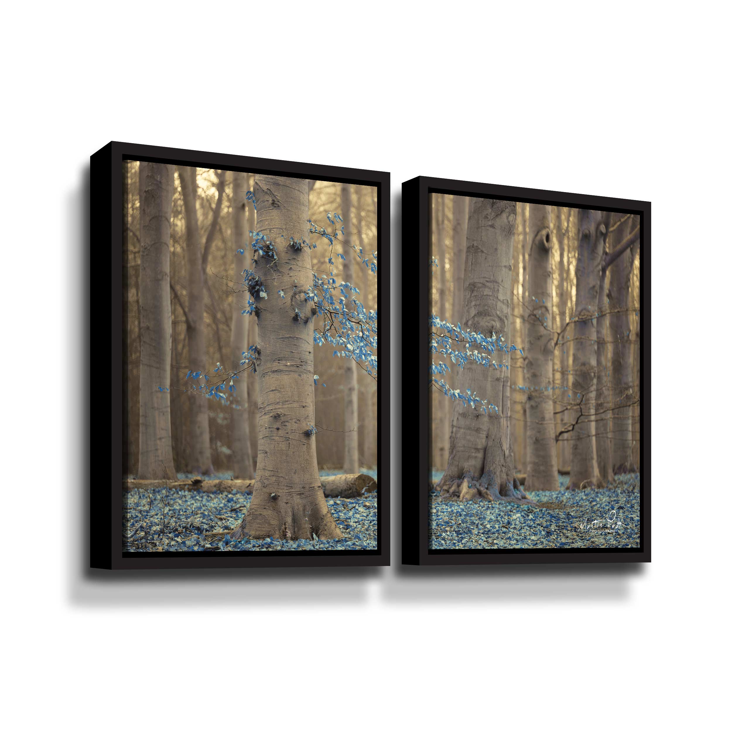 Artwall Winter Blues, 2 Piece Floater Framed Canvas Set by Martin Podt