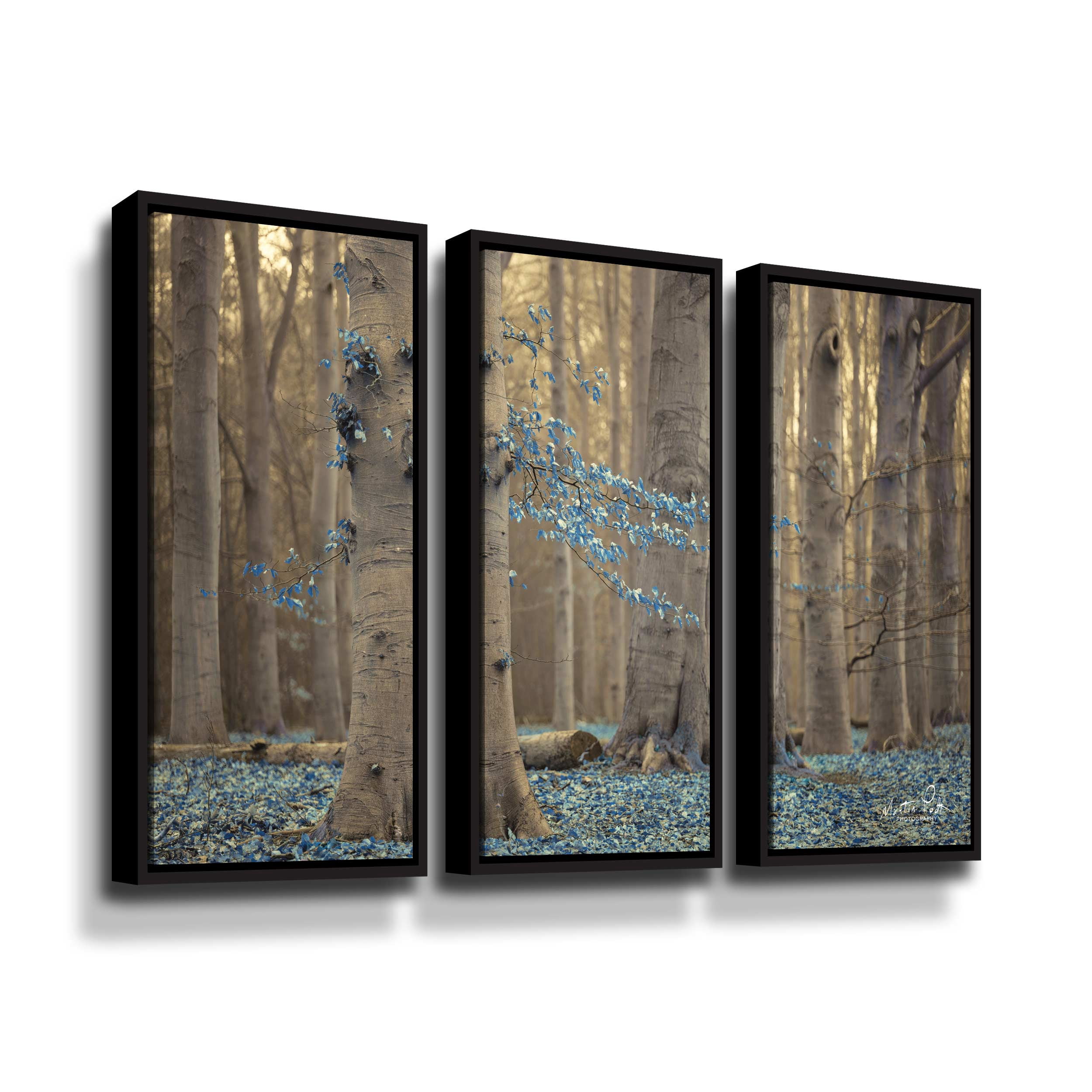 Artwall Winter Blues, 3 Piece Floater Framed Canvas Set by Martin Podt