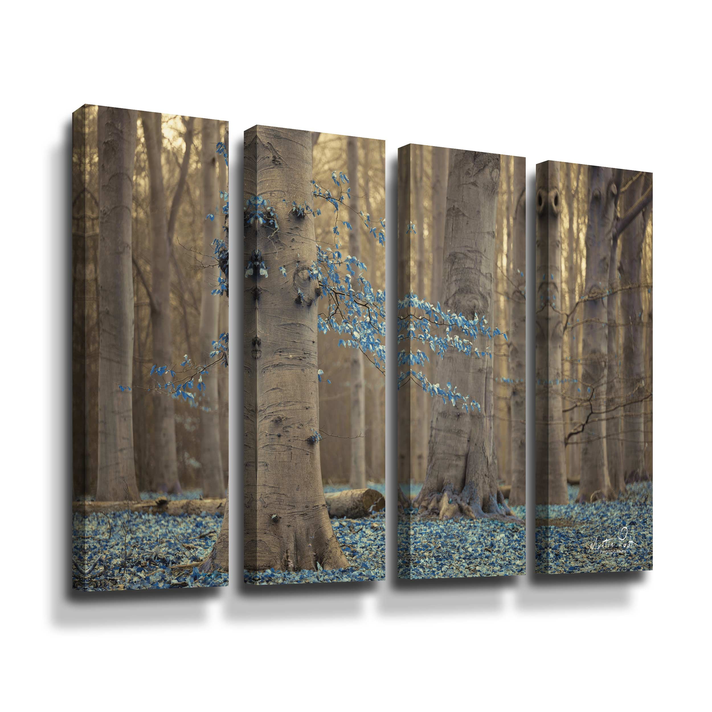 Artwall Winter Blues, 4 Piece Gallery Wrapped Canvas Set by Martin Podt