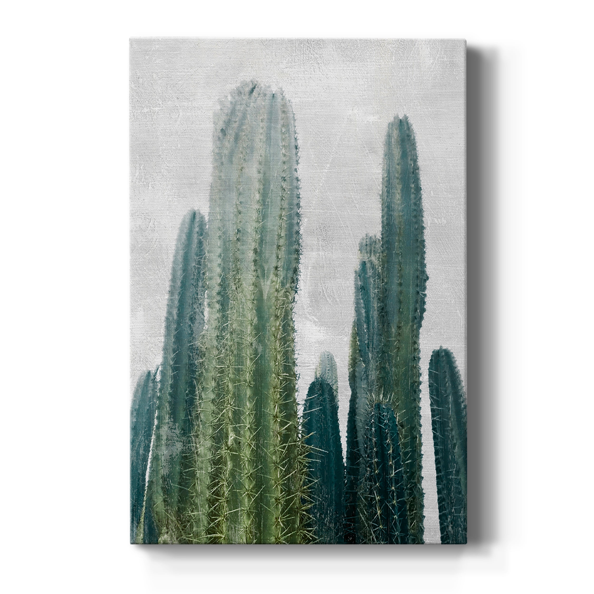 Aruba Cacti I Premium Gallery Wrapped Canvas - Ready to Hang - 8 x 12