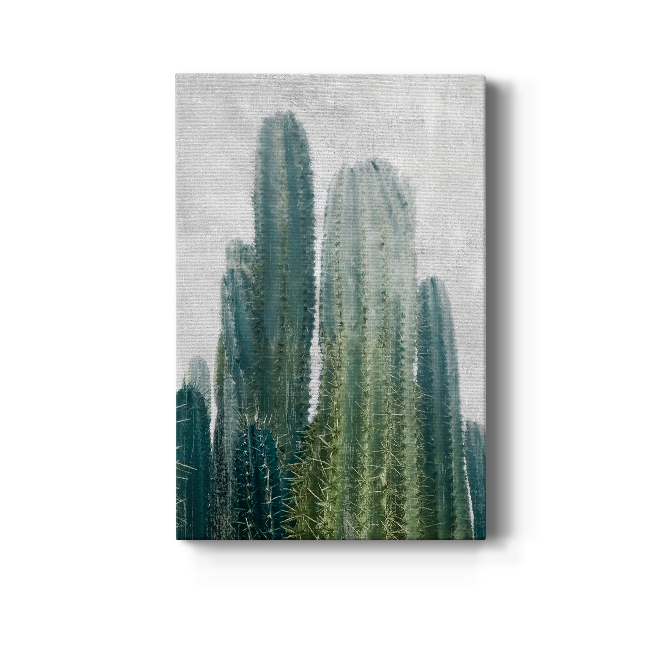 Aruba Cacti II Premium Gallery Wrapped Canvas - Ready to Hang - 32 x 48