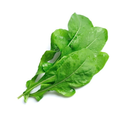 Sherwood's Seeds Arugula Slow Bolt Heirloom Seeds Packet, 50 Seeds, Peppery Flavor