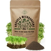 Arugula Sprouting & Microgreens Seeds 8oz - Over 110 000 Non-GMO, Heirloom Seeds