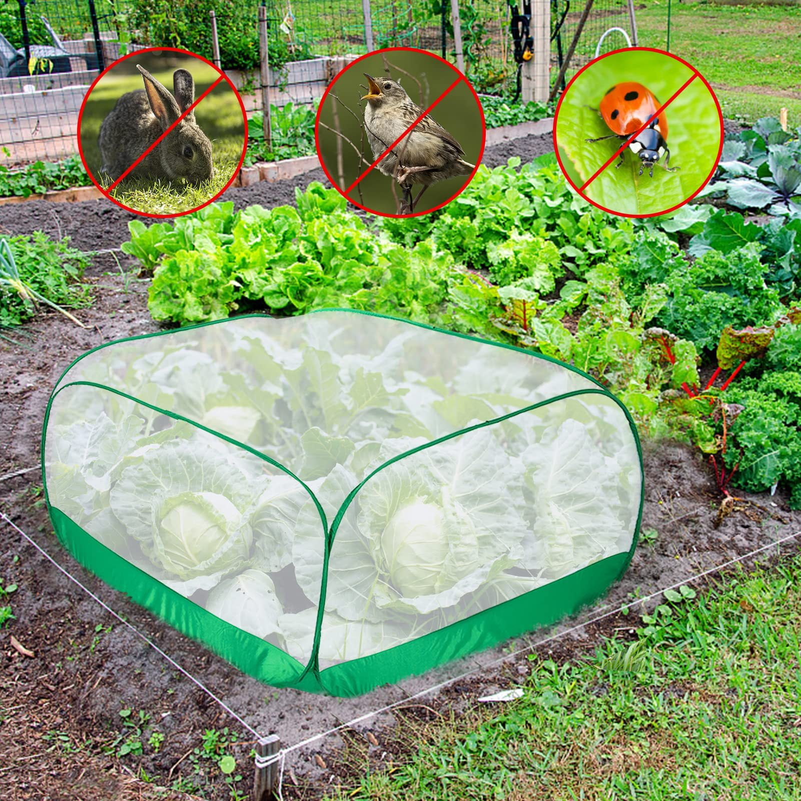 Aruwei Fine Mesh Plant Cover Bird Animal Protection Plant Guard Mesh ...