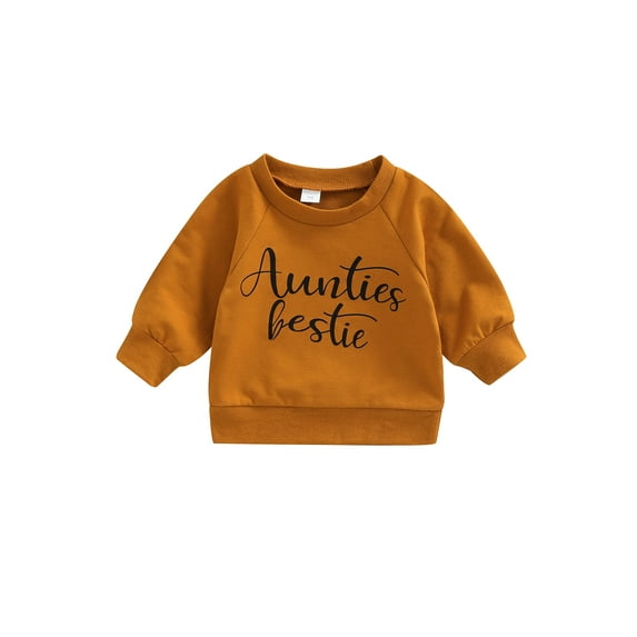 Arvbitana 0-24 Months Infant Baby Girl Boy Sweatshirt Top Fall Long Sleeve O Neck Oversized Pullover Hoodies Shirt Blouse