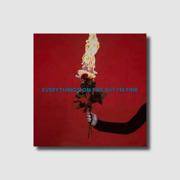 As December Falls Everything's On Fire But I'm Fine (CD) Deluxe Album