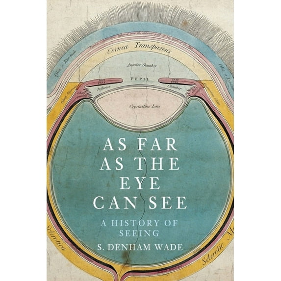 As Far as the Eye Can See : A History of Seeing (Hardcover)