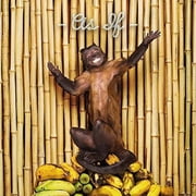 !!! - As If - Rock - CD