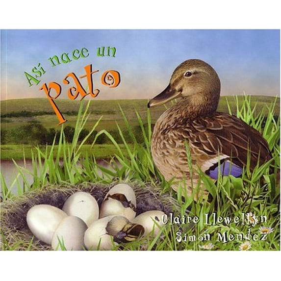 Pre-Owned Así Nace... Un Pato (Paperback) 1594374481 9781594374487