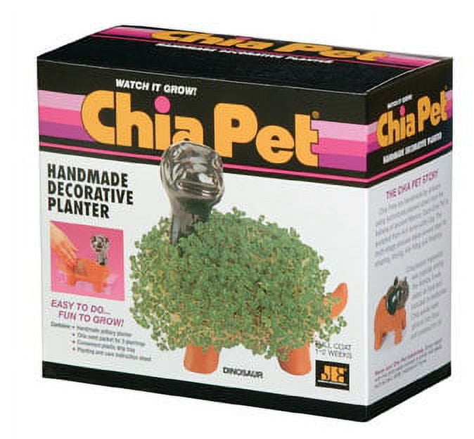 Chia pet bob ross walmart hot sale