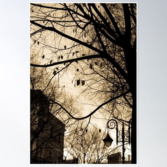 As Shadows Fall Poster Wall Art, Modern Wall Decor, 8x12 UNFRAMED