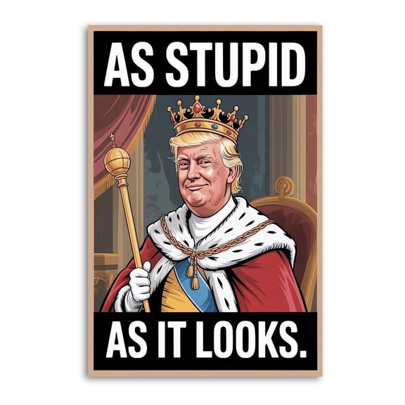 As Stupid As It Looks Resist Gifts Canvas Painting Poster Wall Art Decorative Picture Prints Modern Decor 24x36inch(60x90cm)