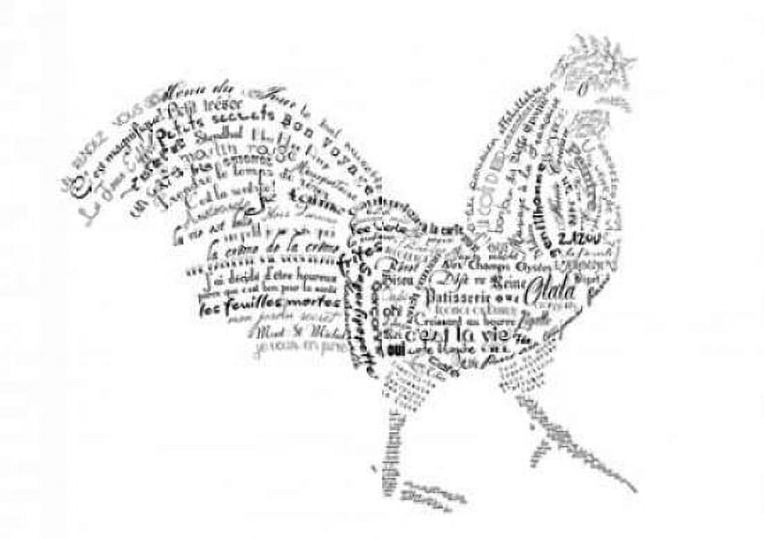 As The French Say-Rooster Canvas Art - Marion De Lauzun (20 x 28)