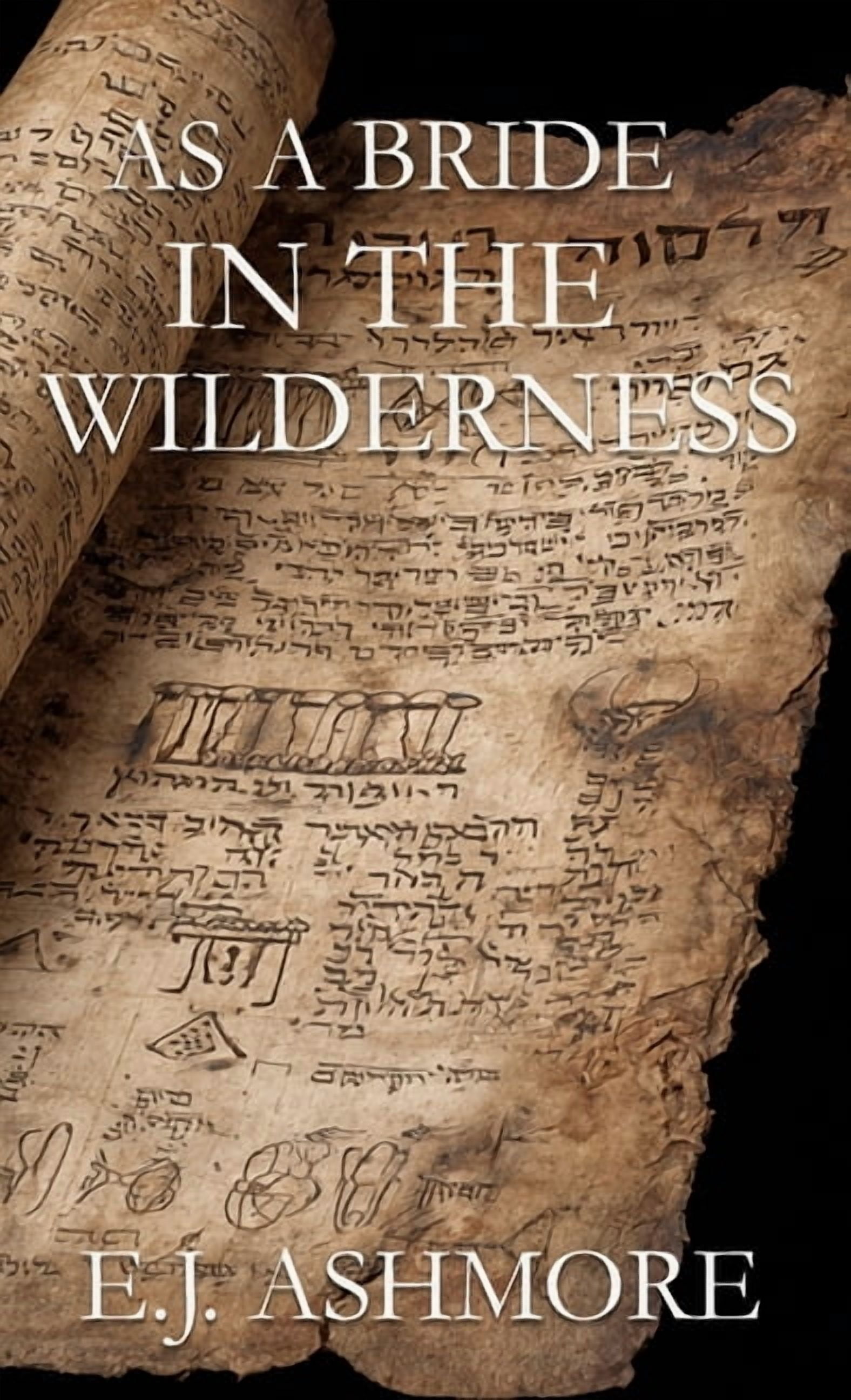 As a Bride in the Wilderness, (Hardcover)