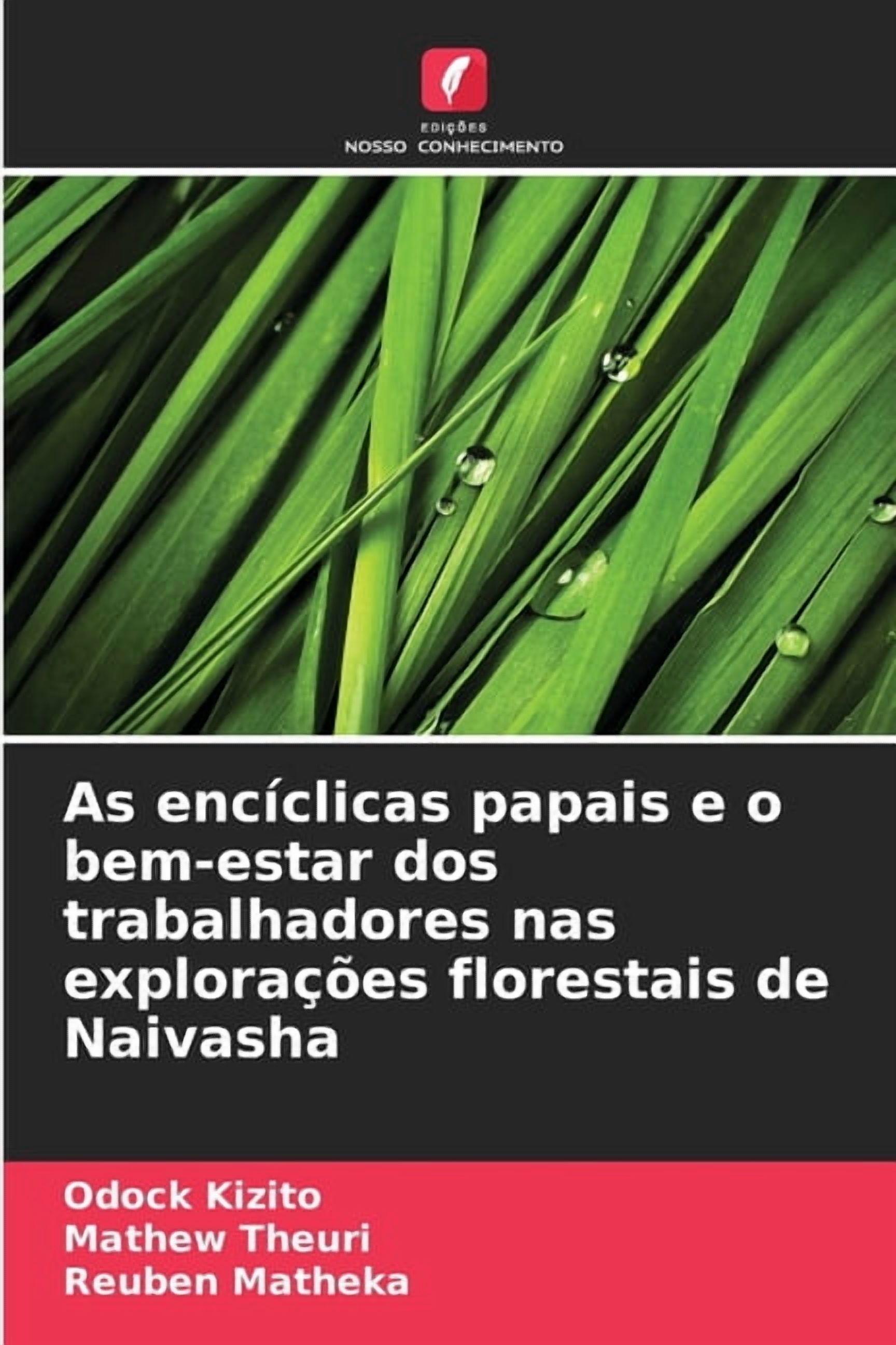 As encÃ­clicas papais e o bem-estar dos trabalhadores nas exploraÃ§Ãµes florestais de Naivasha, (Paperback)