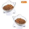 Asablve 2 Pcs Tilted Elevated Cat Bowls, Double Pet Bowls with 15