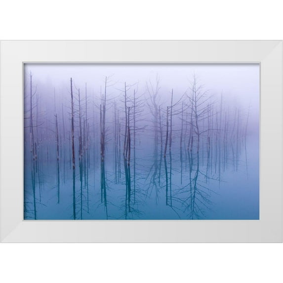 Asami, Osamu 32x23 White Modern Wood Framed Museum Art Print Titled - Misty Blue Pond