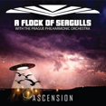 thumbnail image 1 of Ascension (CD), 1 of 1