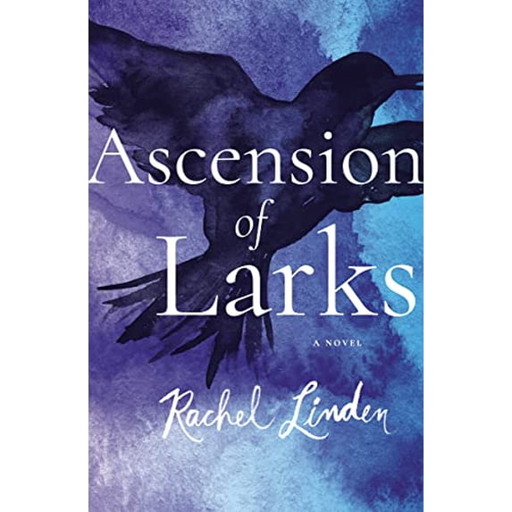 Pre-Owned Ascension of Larks Paperback