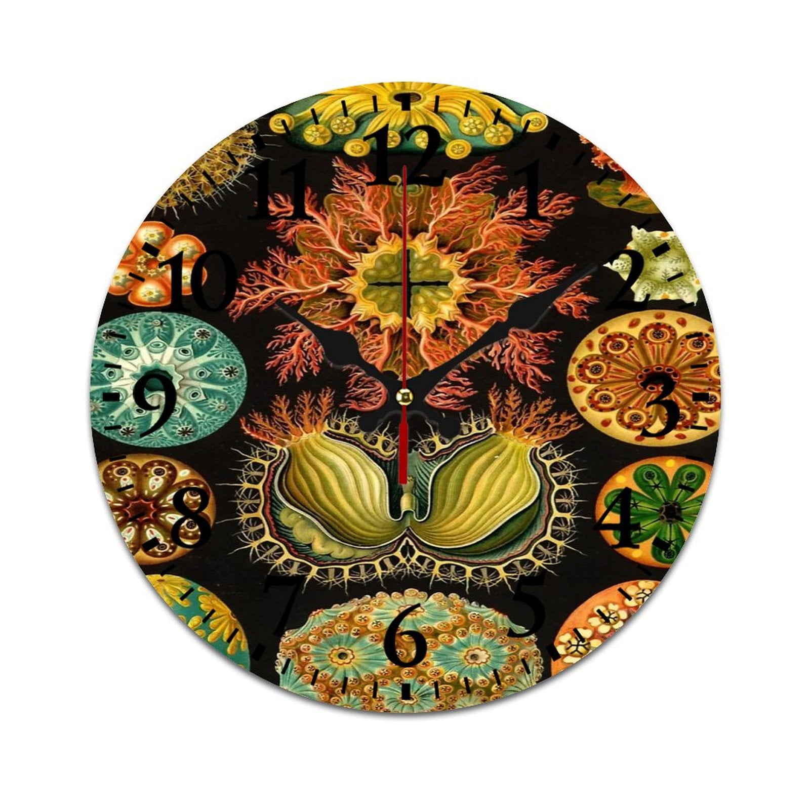 Ascidia - Ernst Haeckel Wall Clock Modern Design Clocks Wall Hanging ...