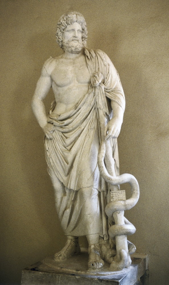 Asclepius Canvas Art - (18 x 24)