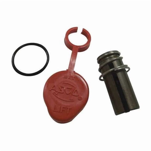 Asco Rebuild Kit For 8262 068038