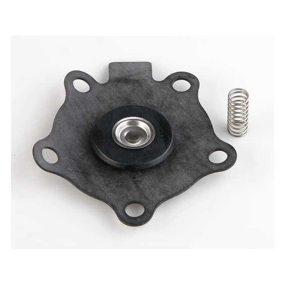 Asco Rebuild Kit,for 5LU47 096875