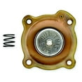 thumbnail image 1 of Asco Solenoid Valve Rebuild Kit,5LU48, 5LU50 316563, 1 of 1