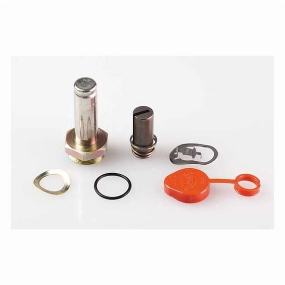 Asco Valve Rebuild Kit 302018