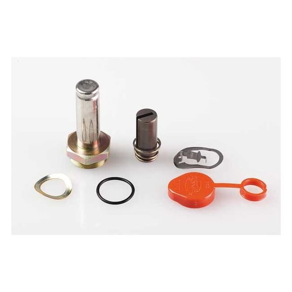Asco Valve Rebuild Kit 302018
