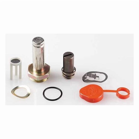 Asco Valve Rebuild Kit 302088-MS