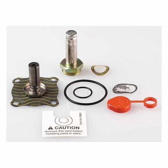 Asco Valve Rebuild Kit 302432