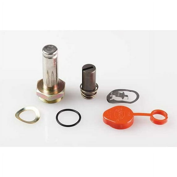 Asco Valve Rebuild Kit,For 3UL70,5LU35 302037
