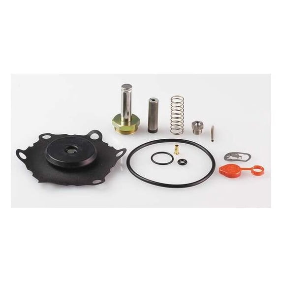 Asco Valve Rebuild Kit,With Instructions 302284